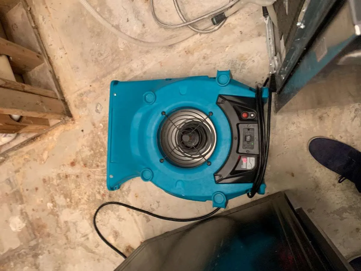 Air mover drying equipment for Mold Remediation & Removal in Salida